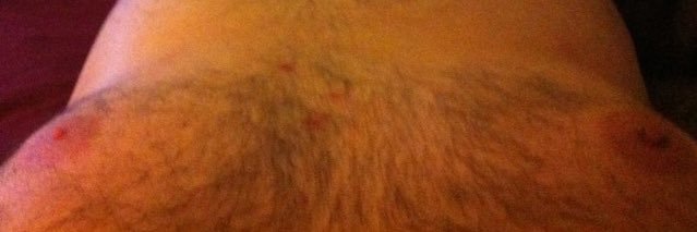 AltChubAus 🇦🇺 banner