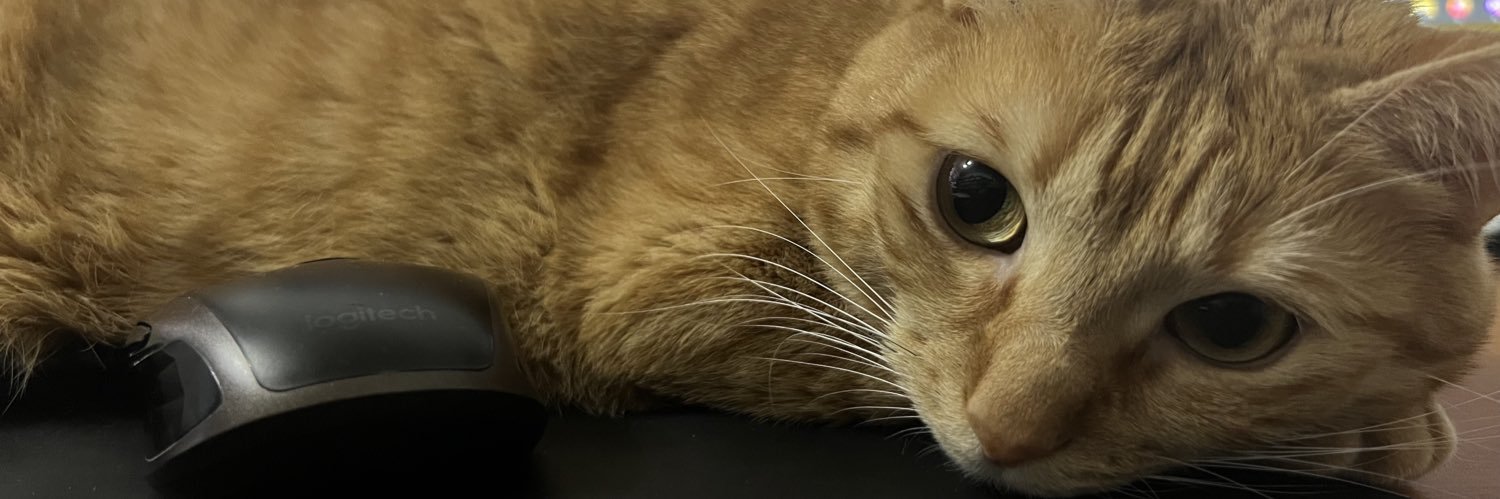 Lua 「龍亞」 🍥 banner