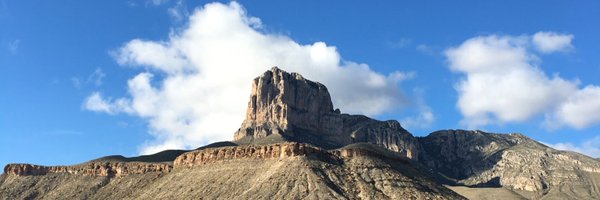 FinFungus Profile Banner