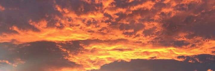 tiphphra's profile banner image