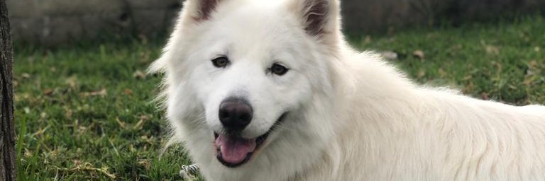 celiaarascon's profile banner image