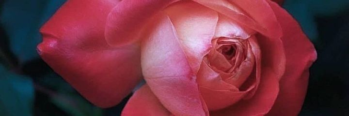 kabir_asmau's profile banner image