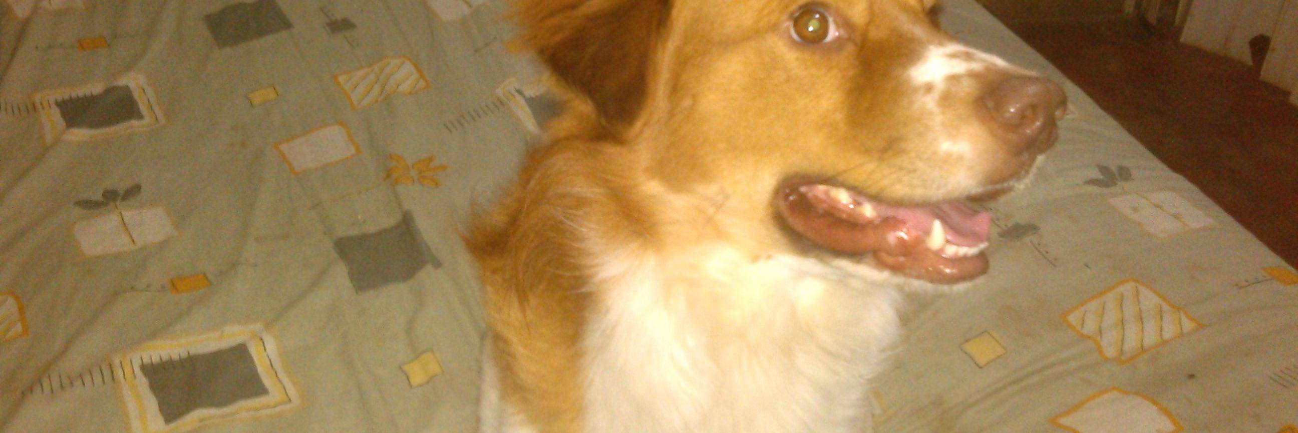 luispacheco71's profile banner image