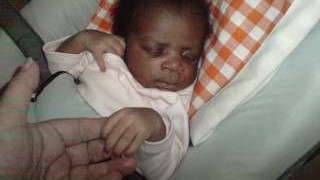 Rob. F. BOOG 💉+ 💉+💉+🦠+💉+🦠+💉+🦠+💉+💉 banner