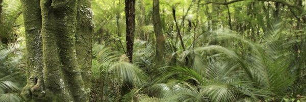 PlantSci_ANU Profile Banner