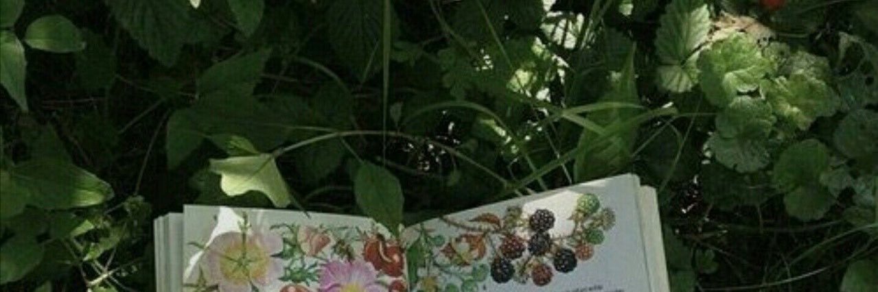 FENTIPIG's profile banner image