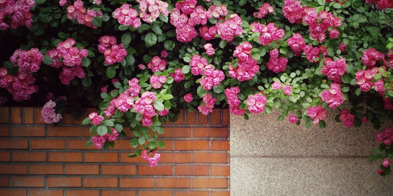 카피와커피엔라이타 banner