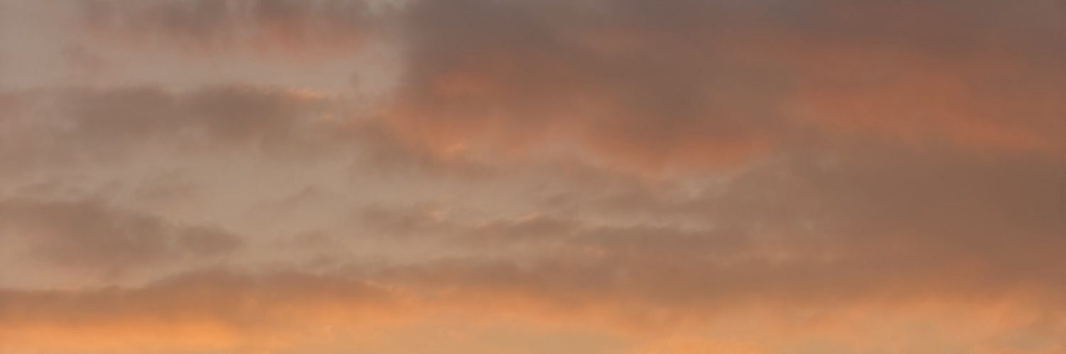 juliellauri1's profile banner image