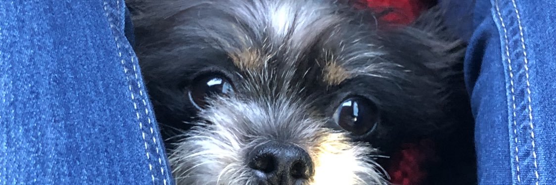 alexamirandaaa's profile banner image