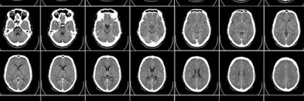 xradio_grapher Profile Banner