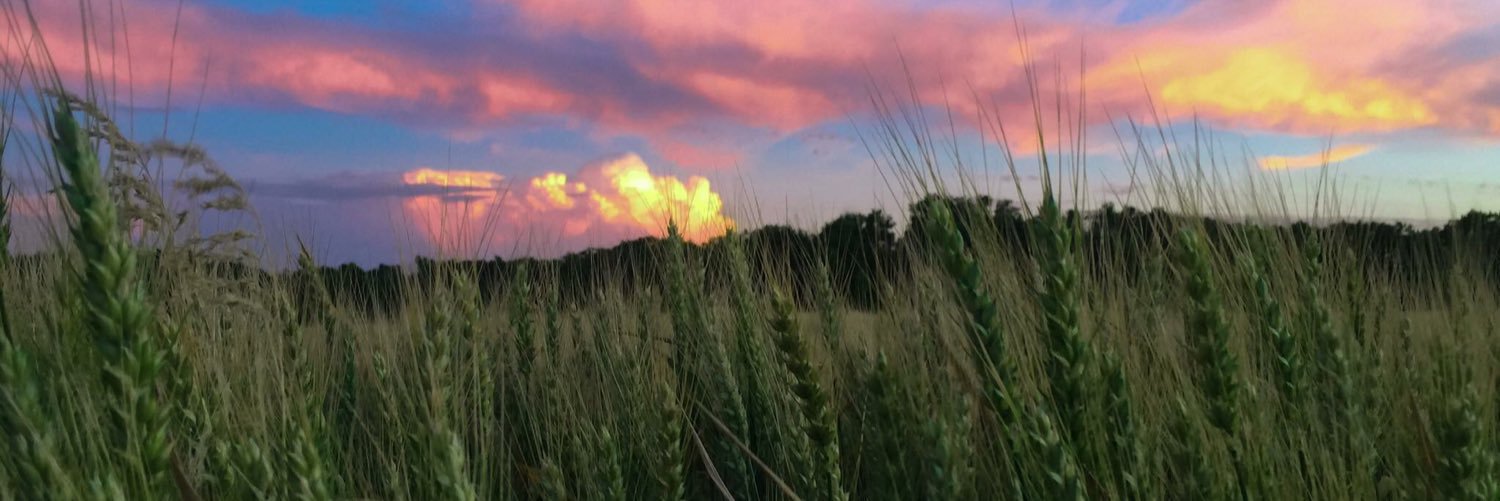 Matt_Bandy's profile banner image