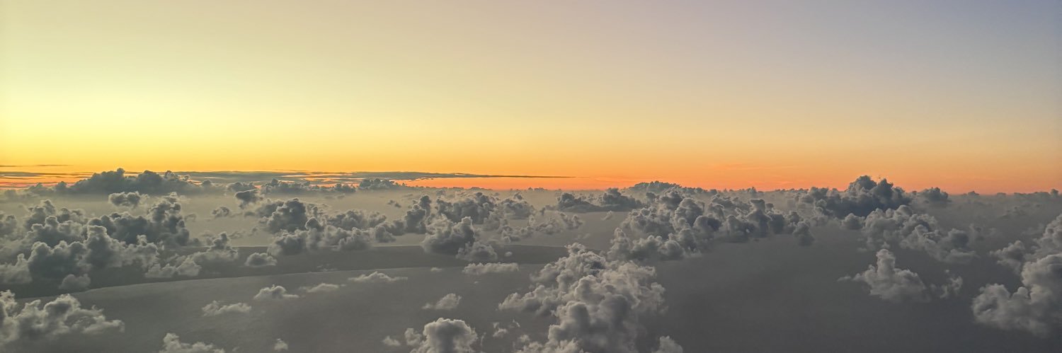 ellise banner