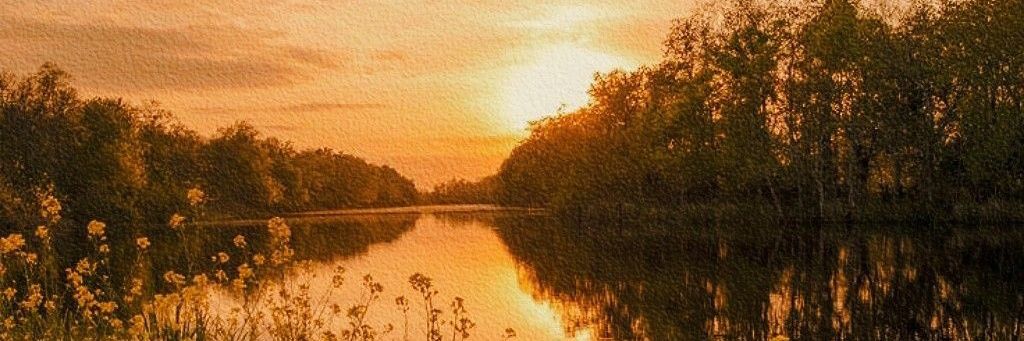 kaithced's profile banner image