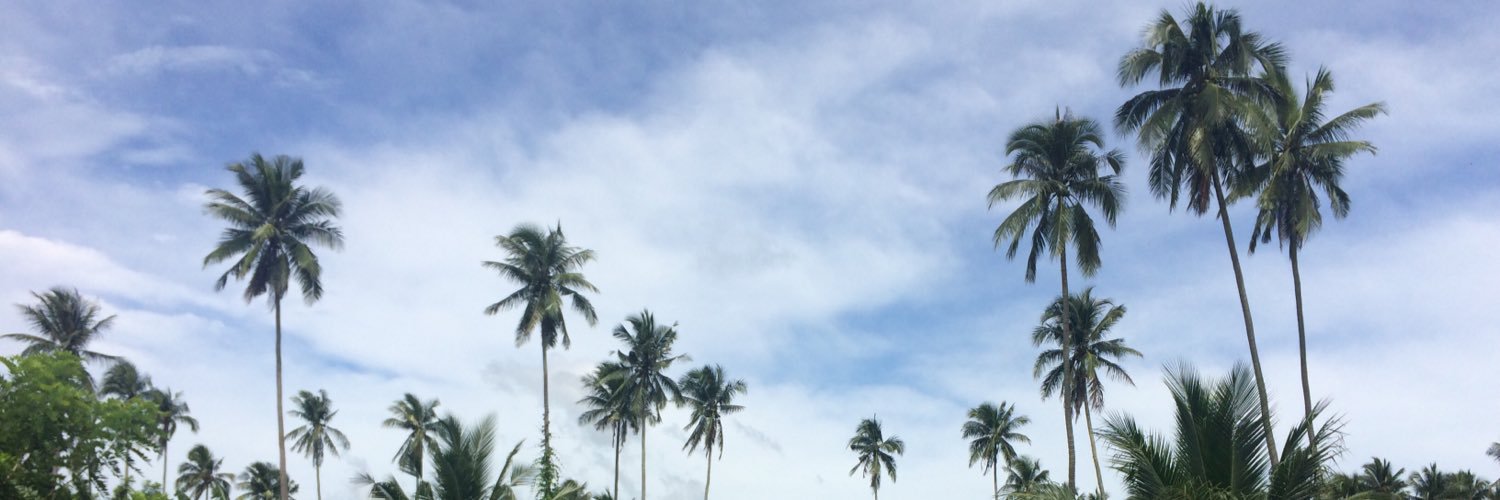 RDMCRNJ's profile banner image