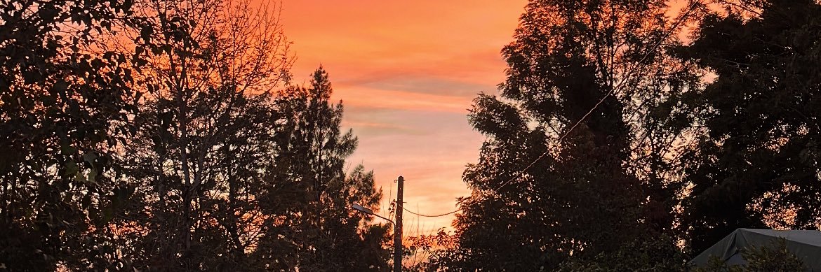 Elconi_'s profile banner image