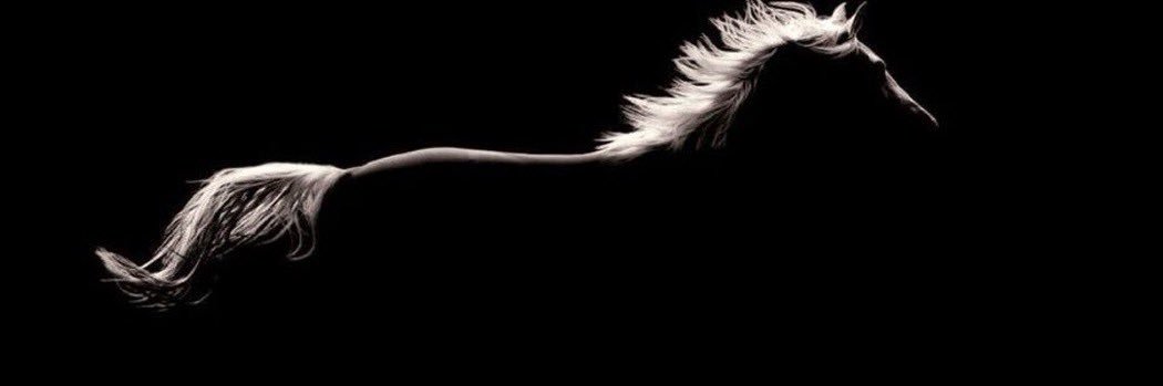 نمارق أنثى banner