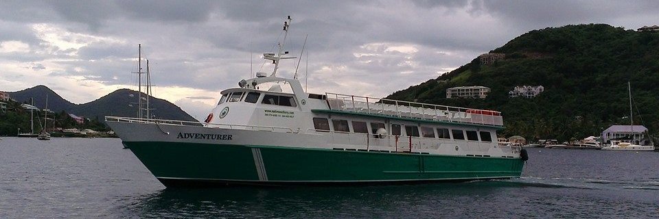 NativeSonFerry's profile banner image