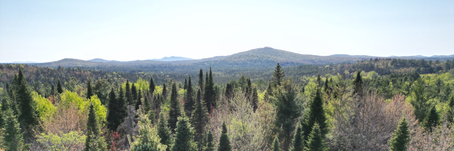 Bridie Farrell banner