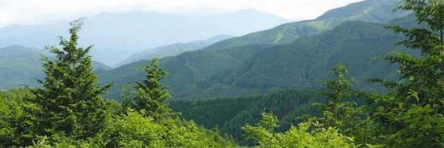 木祖村情報 (kisomura) / Twitter