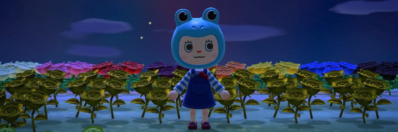 🍮@こんぺい島🏝️ banner