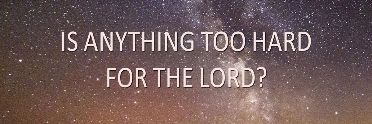 Naseijnr1's profile banner image