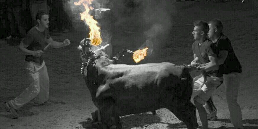 jl_luque's profile banner image