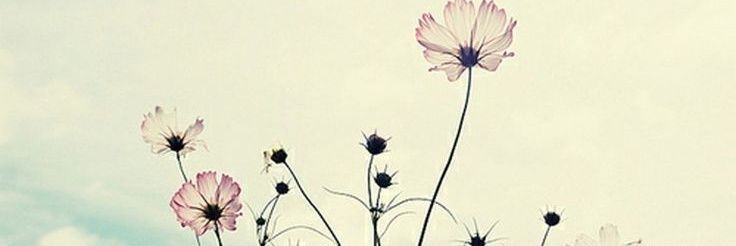 Laura_Galez's profile banner image