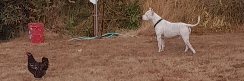 Tj from Washington banner