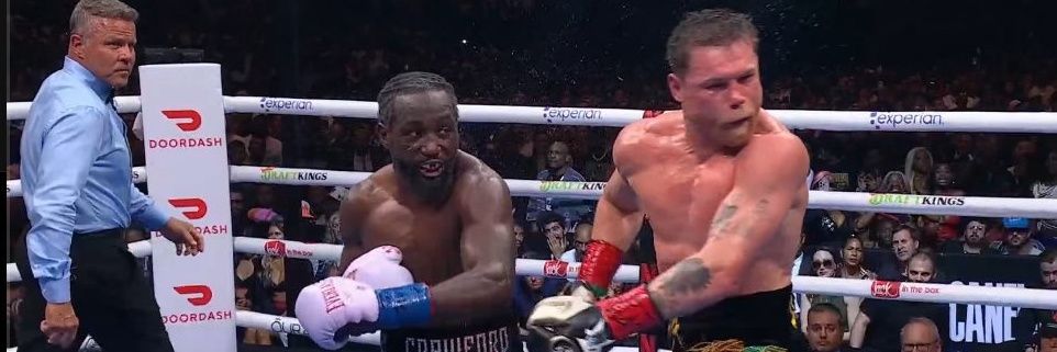 Successful Omemma banner