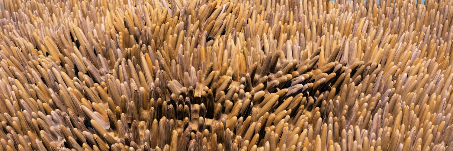 Gastroenterology | Karger banner