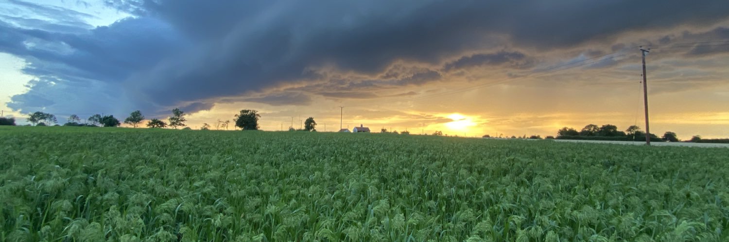 Louis Stephenson banner