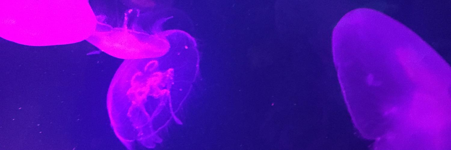 amangaytrew's profile banner image