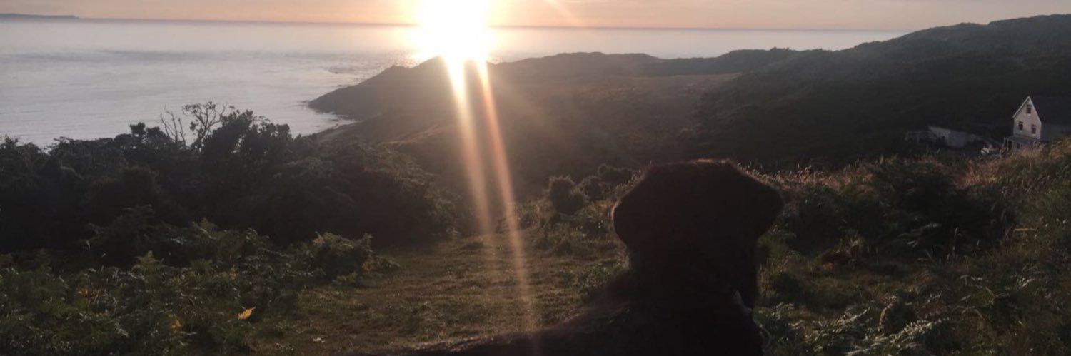 Jhxpeee's profile banner image