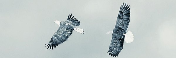 Turgut_Alp_ Profile Banner