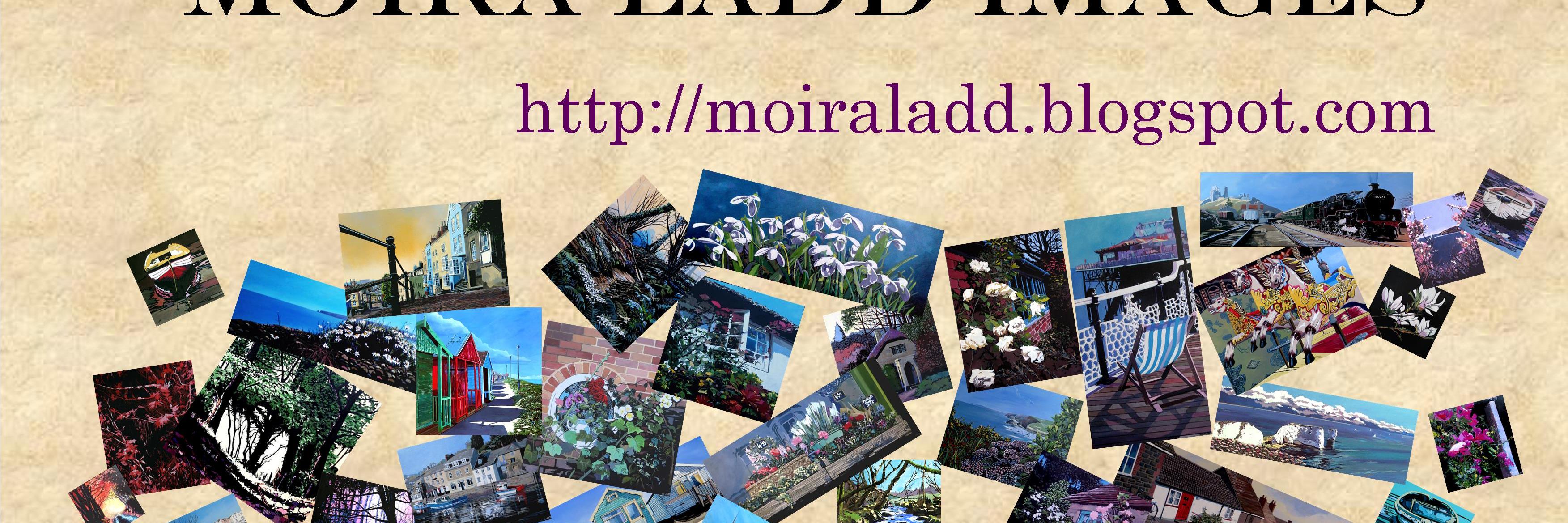 moiraLadd's profile banner image