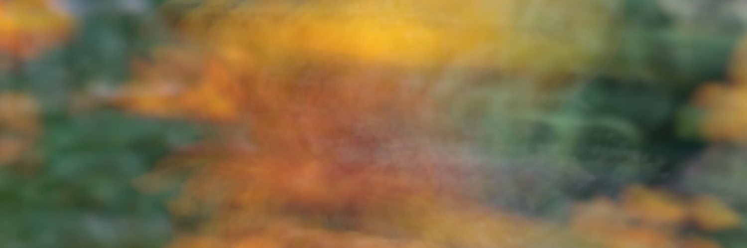 debobowwww banner