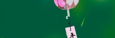 lorena rayana gomes banner