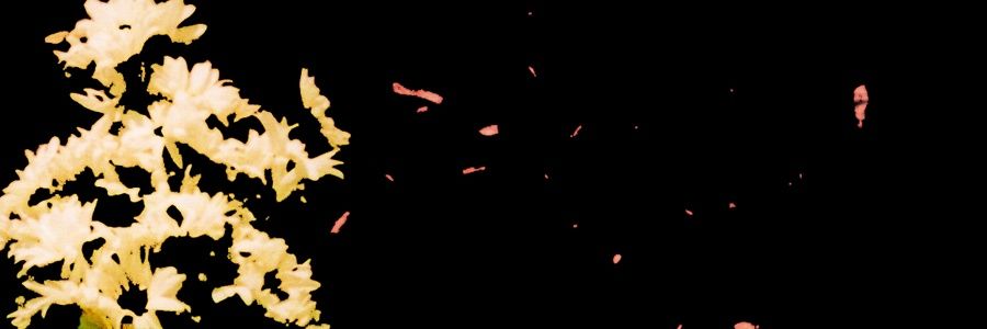 RealLope's profile banner image