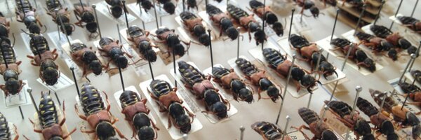 JordanRainey3 Profile Banner