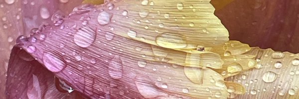 theZHM Profile Banner