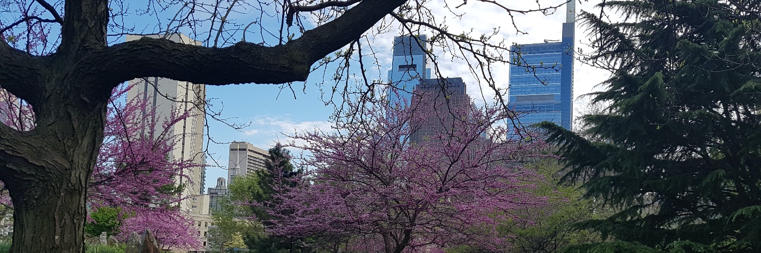 Sofía Castelli banner