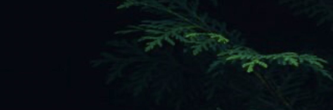 h_f_s_s's profile banner image