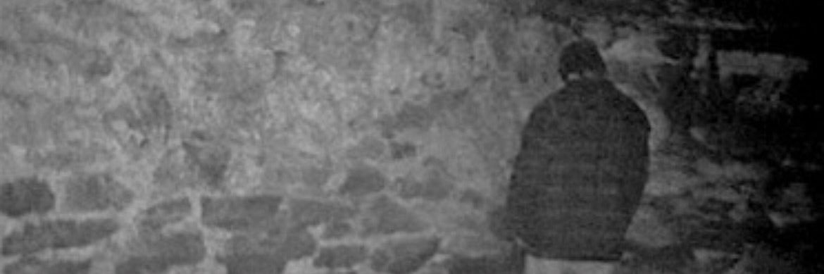 farofe's profile banner image