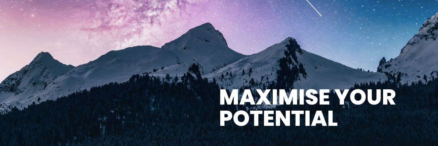 Max LS banner