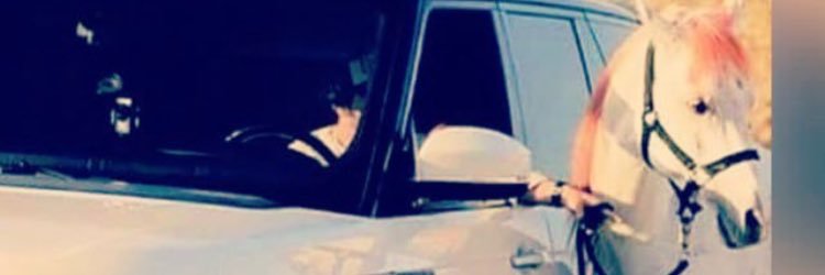 hamed_19901's profile banner image