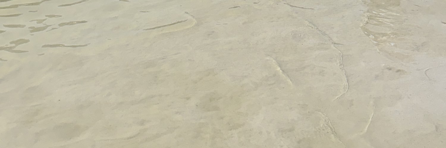 Zahra banner