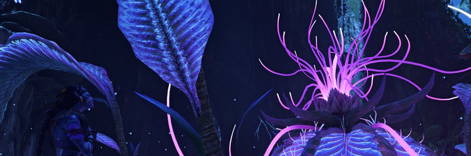🌮 banner