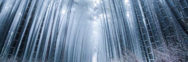 kunihiko0507's profile banner image