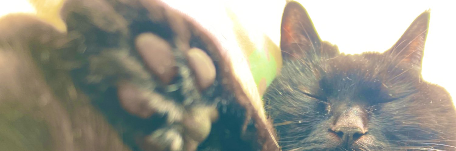 rodented's profile banner image