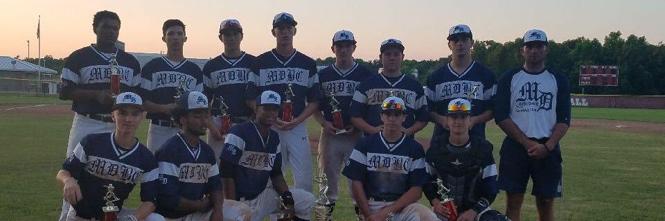 Metro Detroit Baseball Club banner
